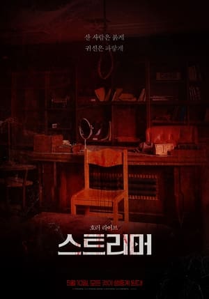 Poster 스트리머 2023