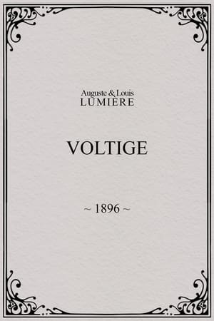 Voltige poster