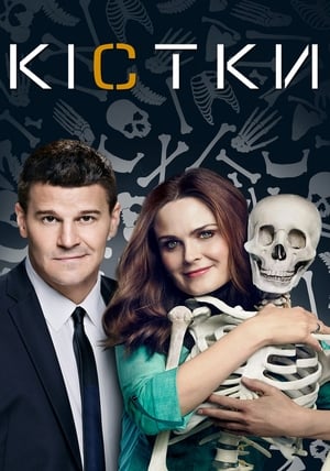 Poster Кістки  Сезон 8 2012