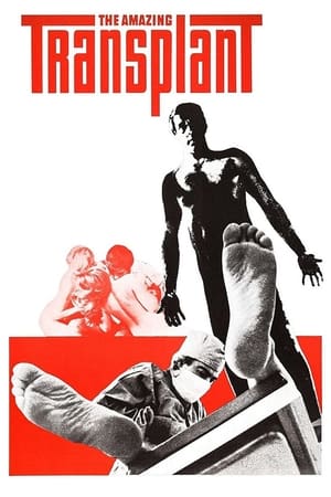 Poster The Amazing Transplant 1971