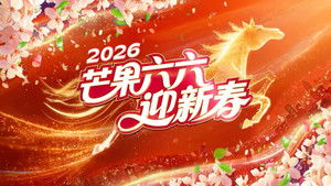 湖南卫视春节联欢晚会