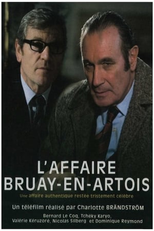 Poster L'Affaire Bruay-en-Artois (2008)