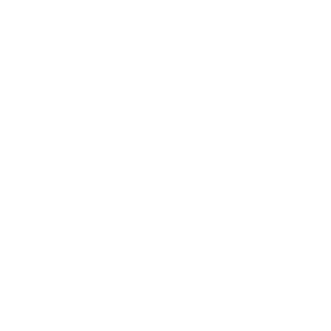 Logo VelCurve Studio