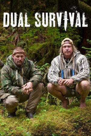Image Dual Survival