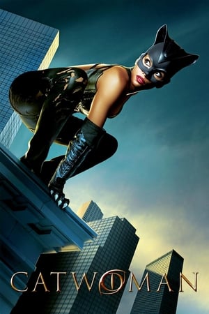 Poster Жена-мачка 2004