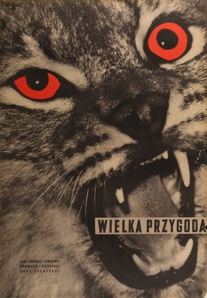 Image Wielka przygoda
