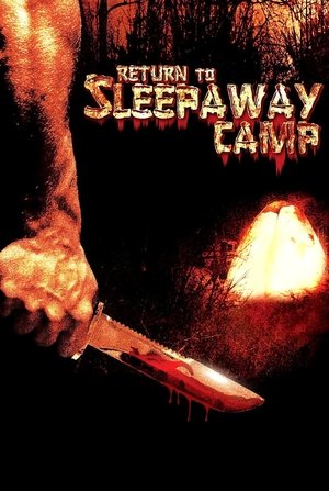 Return to Sleepaway Camp Film