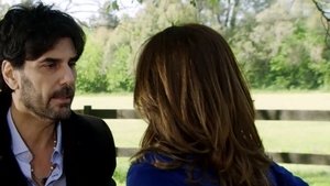 The Rich Do Not Ask for Permission: 1×191