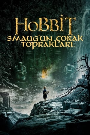 Image Hobbit: Smaug'un Çorak Toprakları