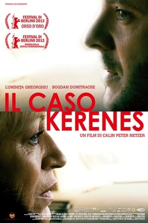 Poster Il caso Kerenes 2013