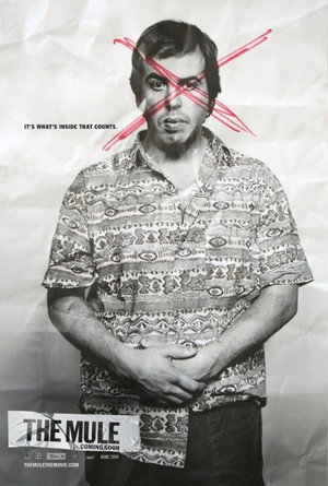 Постер фильма «Мул (2014)» — (12 из 28)