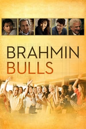 Poster Brahmin Bulls 2013