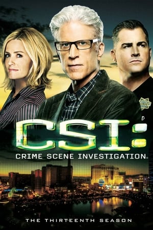 CSI: Crime Scene Investigation: Season 13