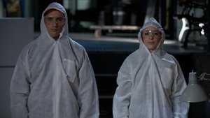 Cochon dingue: 4×43