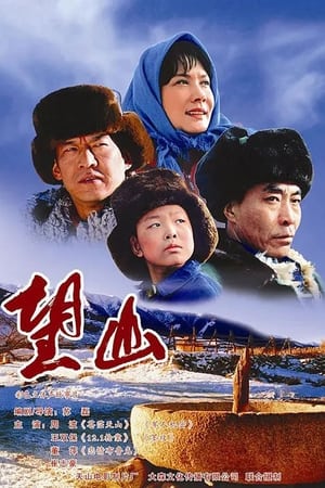 Poster 望山 2007