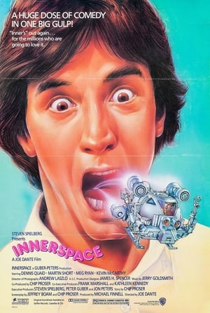 Постер фильма «Внутреннее пространство (1987)» — (12 из 47)