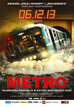 Poster Metro 2013