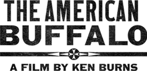 The American Buffalo — Logos 2