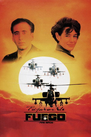 Fire Birds 43