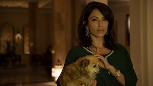 The Night Manager ( 2016 )