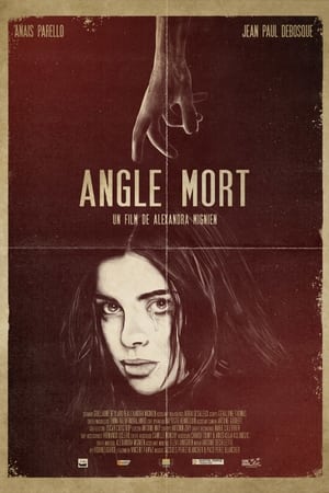 Image Angle mort