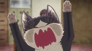 My Roommate is a Cat Season 1 Episode 2