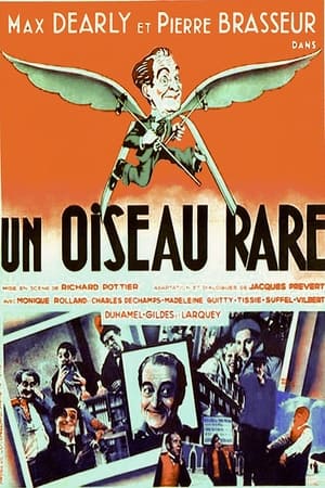 Poster A Rare Bird (1935)