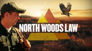 poster North Woods Law