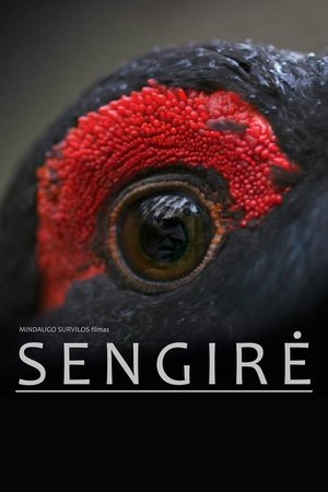 poster_Sengirė