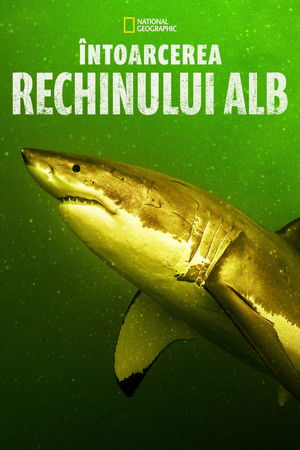 Return of the White Shark (2023)