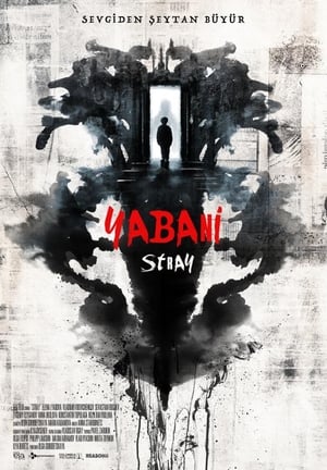 Yabani - Stray (2019)