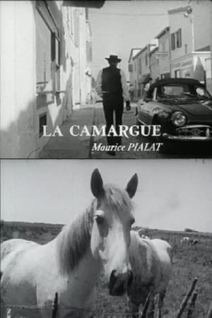 La Camargue film complet