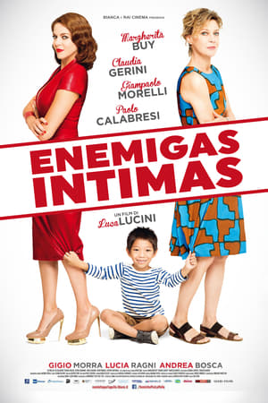 Poster Enemigas íntimas 2016