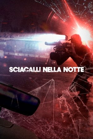 Sciacalli nella notte 2017