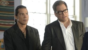 Bull: 2×8