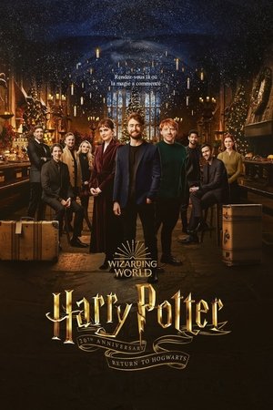 poster Harry Potter 20th Anniversary: Return to Hogwarts