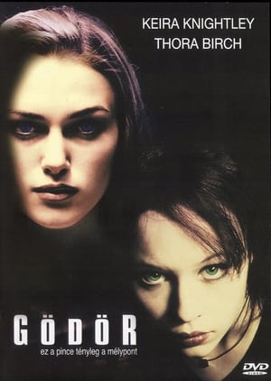 Poster A gödör 2001