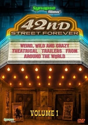 Poster di 42nd Street Forever, Volume 1