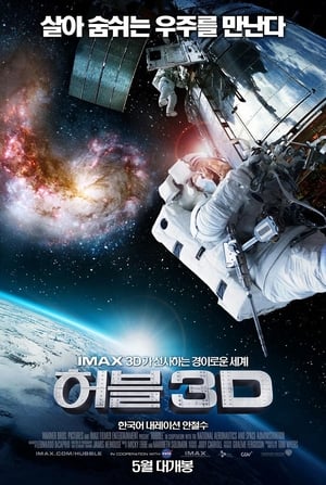 Poster 허블 2010