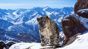 Planet Earth II (2016) online ελληνικοί υπότιτλοι