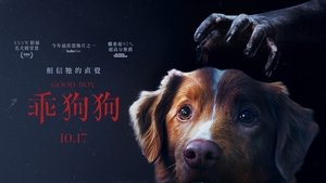 Images posters