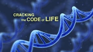 Cracking the Code of Life