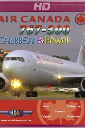 Póster oficial de la película Air Canada 767-300