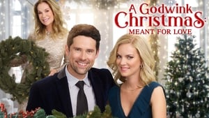 A Godwink Christmas: Meant for Love