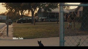 Todos Os Caminhos Até Pearla