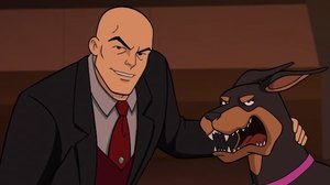 Scooby-Doo! And Krypto, Too! (2023), film animat online subtitrat în Română