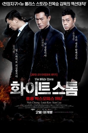 Poster 화이트 스톰 2013