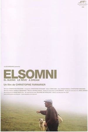 El somni (2008)