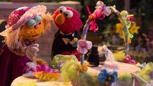 Sesame Street The Wedding Planner