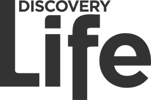 Discovery Life